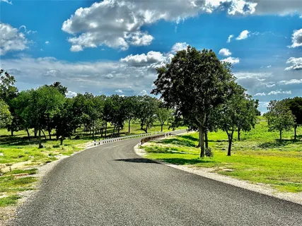 a view of a playground with a yard and plants