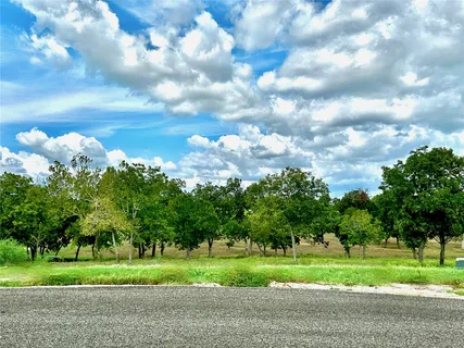 a view of a big yard with plants and large trees