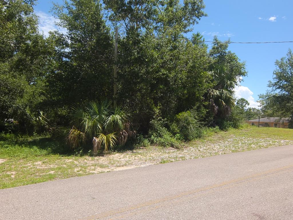306 Northwest 5th Street Carrabelle, FL 32322 - Photo 1 of 5