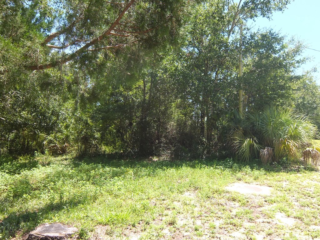 306 Northwest 5th Street Carrabelle, FL 32322 - Photo 2 of 5