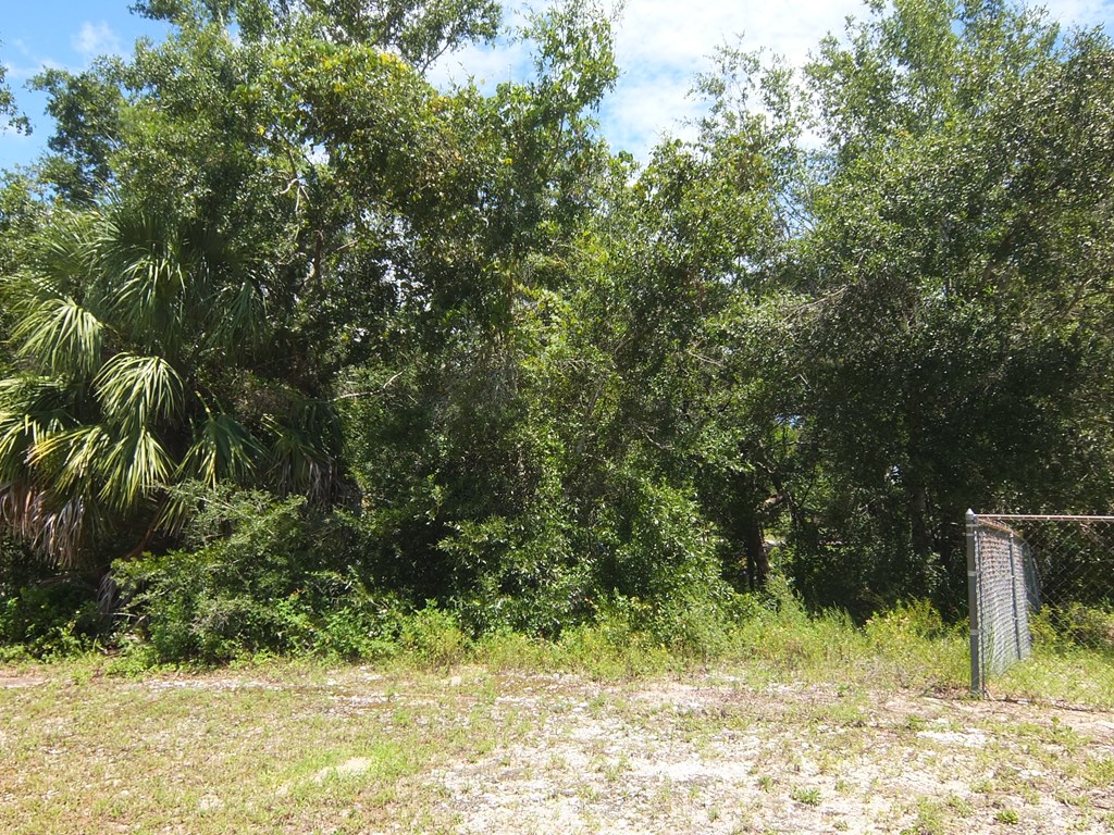 306 Northwest 5th Street Carrabelle, FL 32322 - Photo 4 of 5
