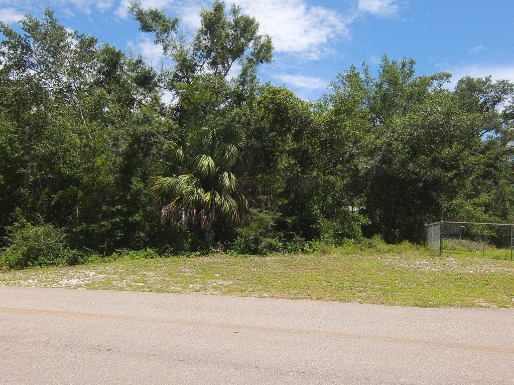 306 Northwest 5th Street Carrabelle, FL 32322 - Photo 5 of 5
