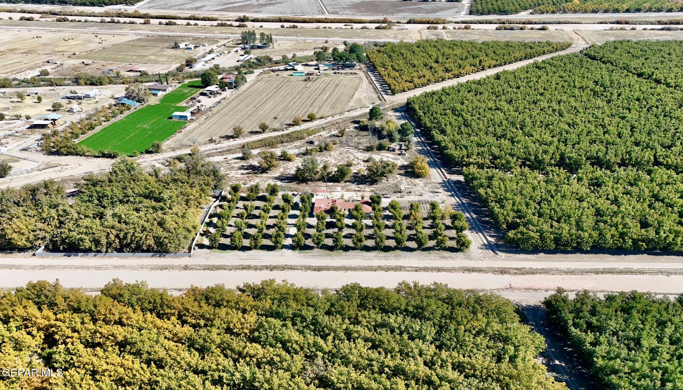 2452 West Ohara Road Anthony, NM 88021 - Photo 3 of 56 a view of a terrace