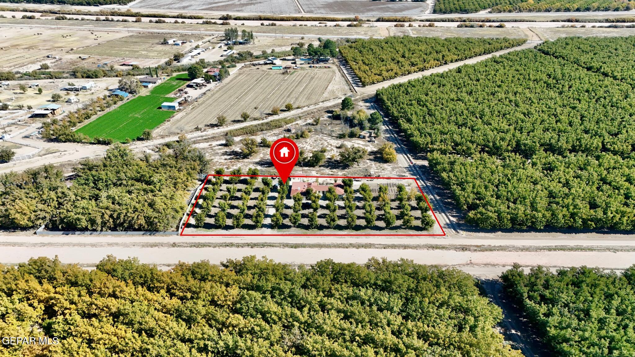 2452 West Ohara Road Anthony, NM 88021 - Photo 4 of 56 a view of a garden