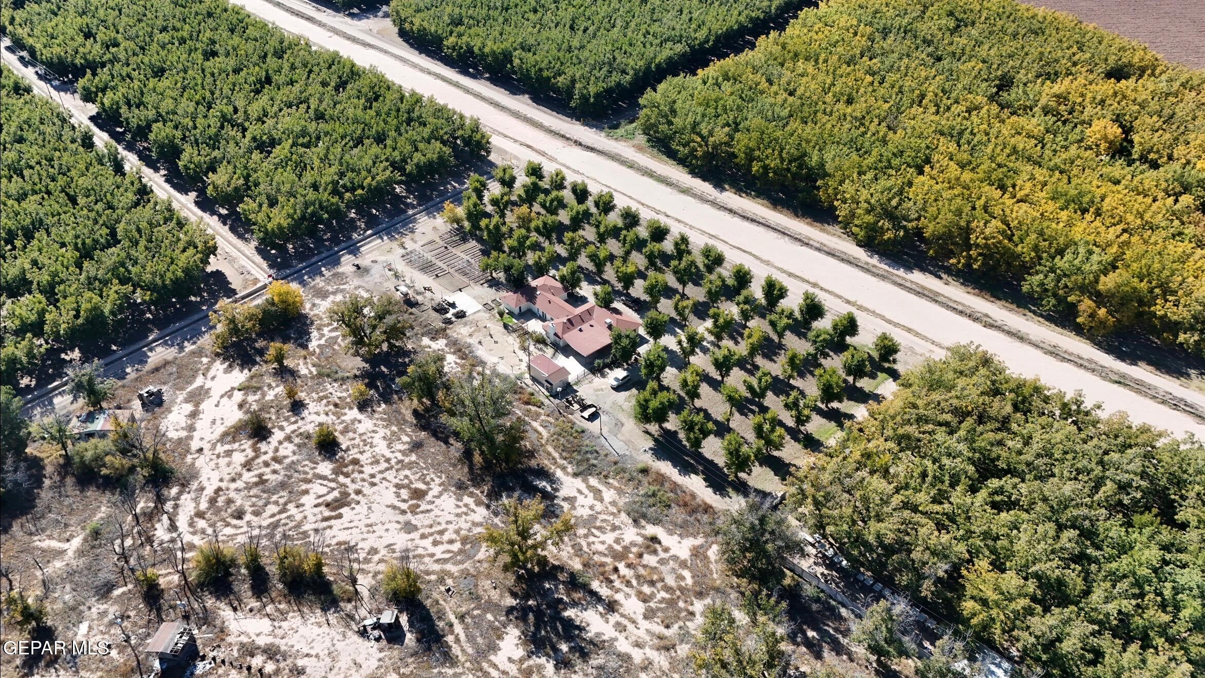 2452 West Ohara Road Anthony, NM 88021 - Photo 52 of 56 a close up of a plant with lots of plants