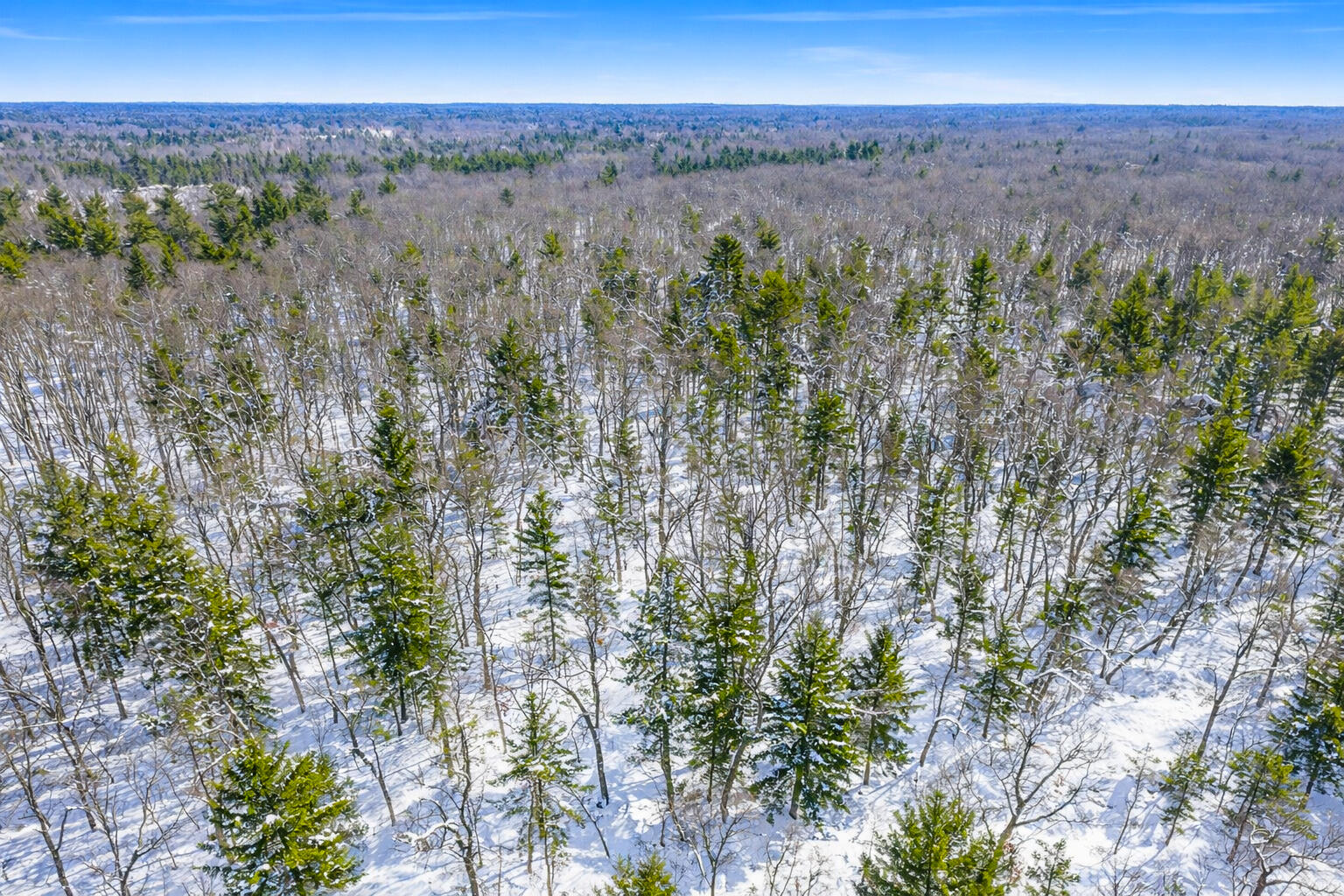Vl Poppy Way Road Twin Lake, MI 49457 - Photo 2 of 15 2