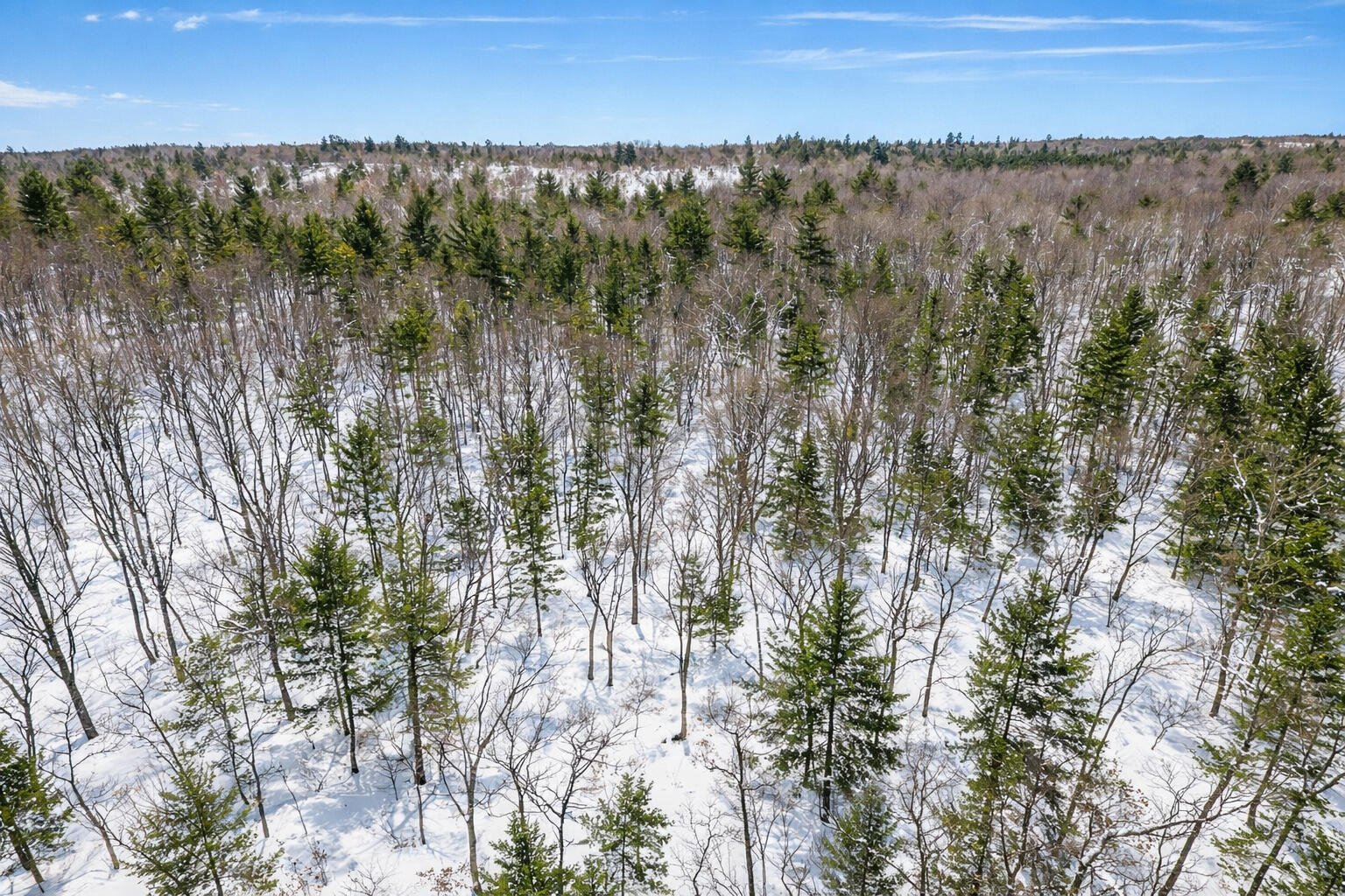 Vl Poppy Way Road Twin Lake, MI 49457 - Photo 10 of 15 10