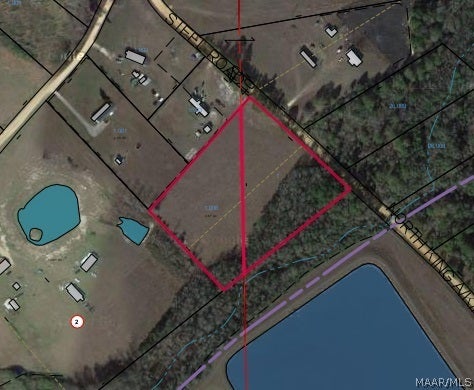5.25 Acres Steel Road Samson, AL 36477 - Photo 3 of 8 Gallery Image 3
