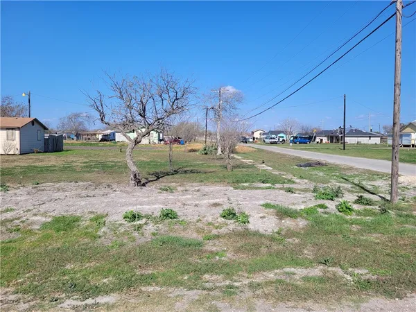 a view of a yard