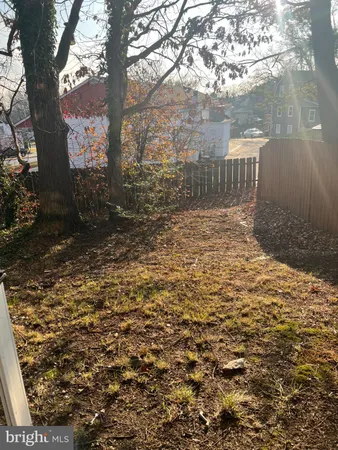 a view of a yard with plants and trees