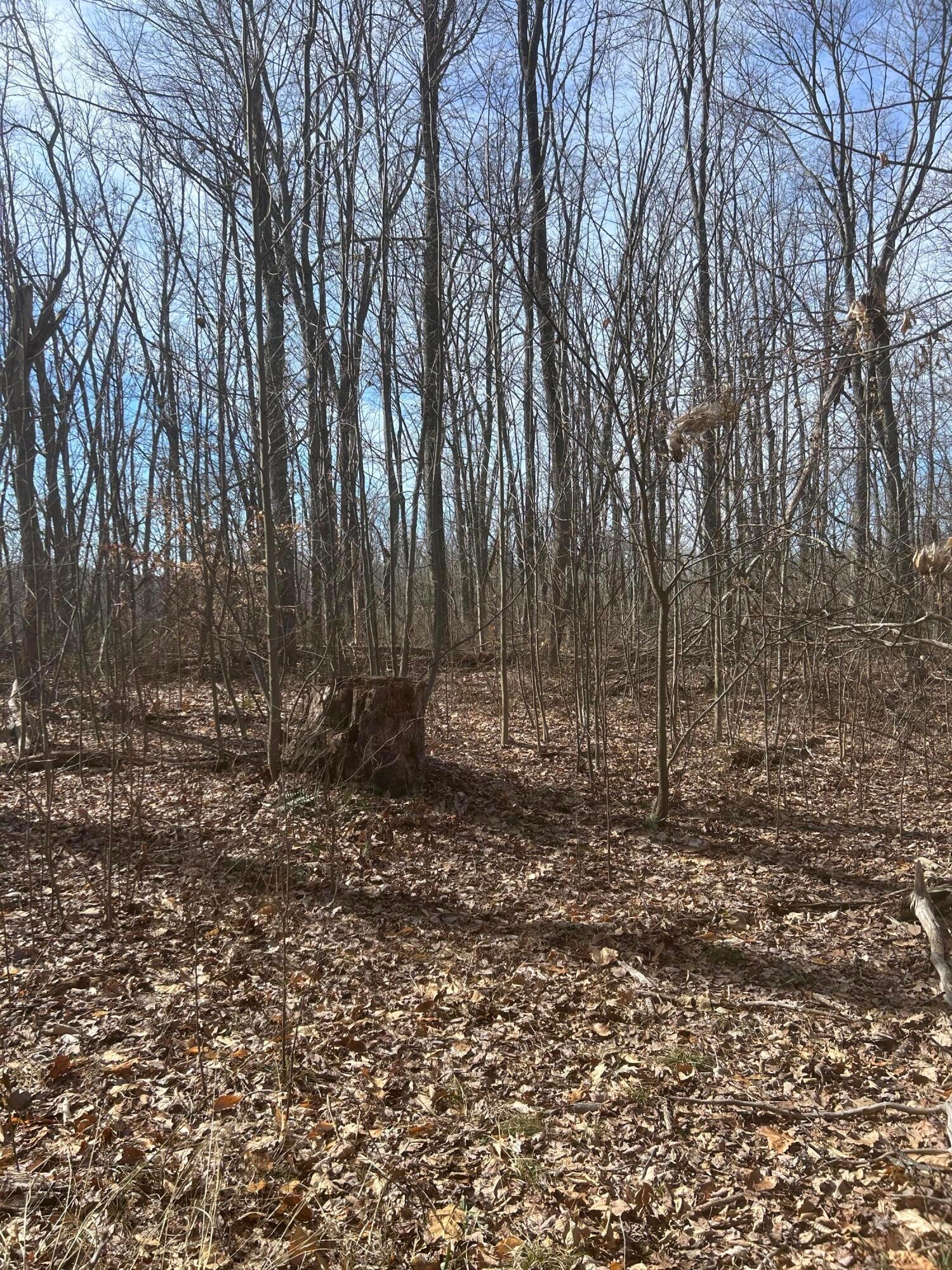 1020 Hunting Run Road, Unit C70 Lucasville, OH 45648 - Photo 15 of 48 p 15