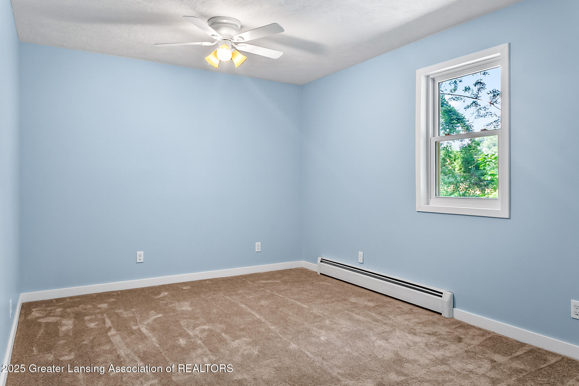 1337 Shepard Road Crystal, MI 48818 - Photo 37 of 55 30 (35)
