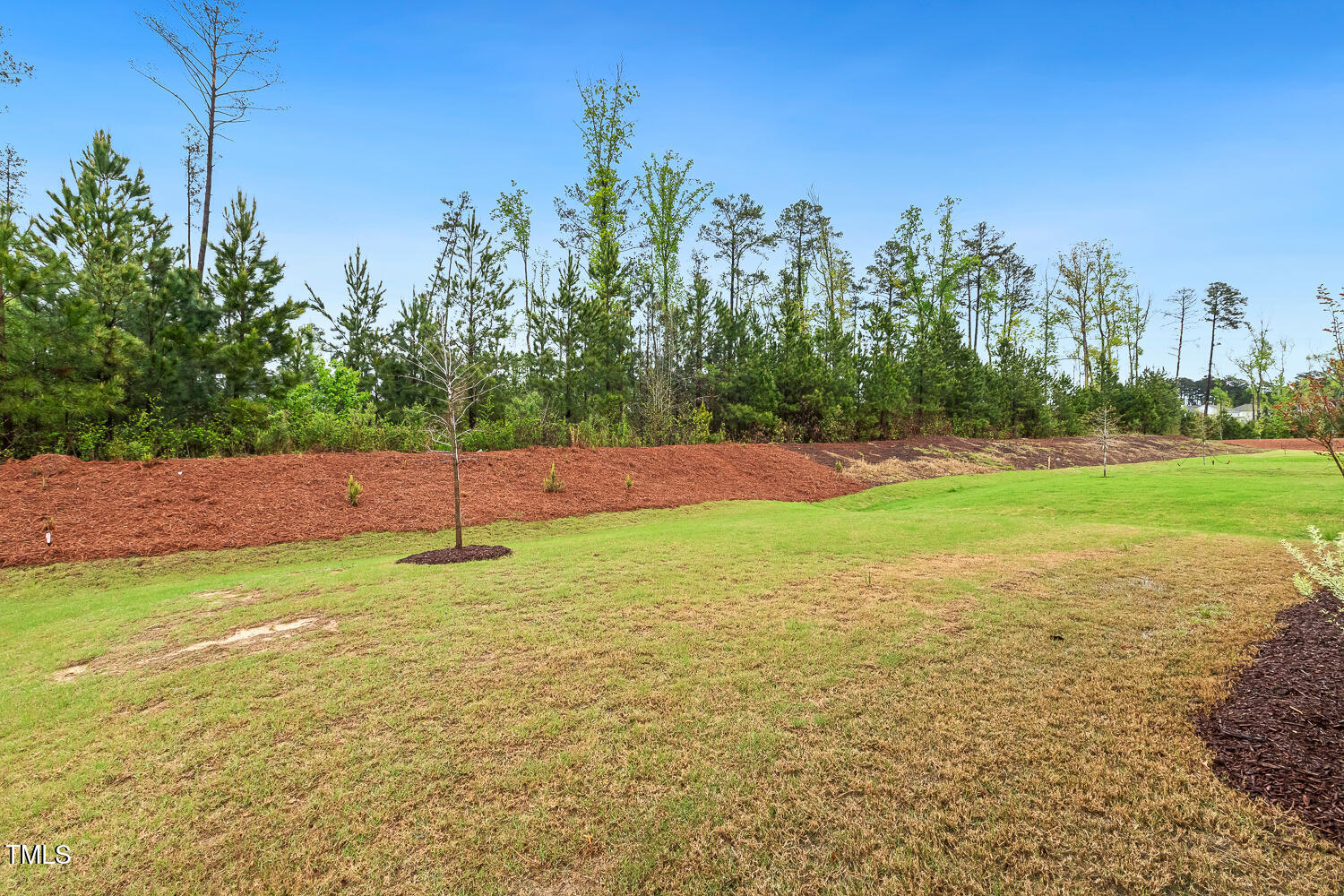 1116 Ciandra Barn Way Apex, NC 27523 - Photo 49 of 59 a view of a field with a tree