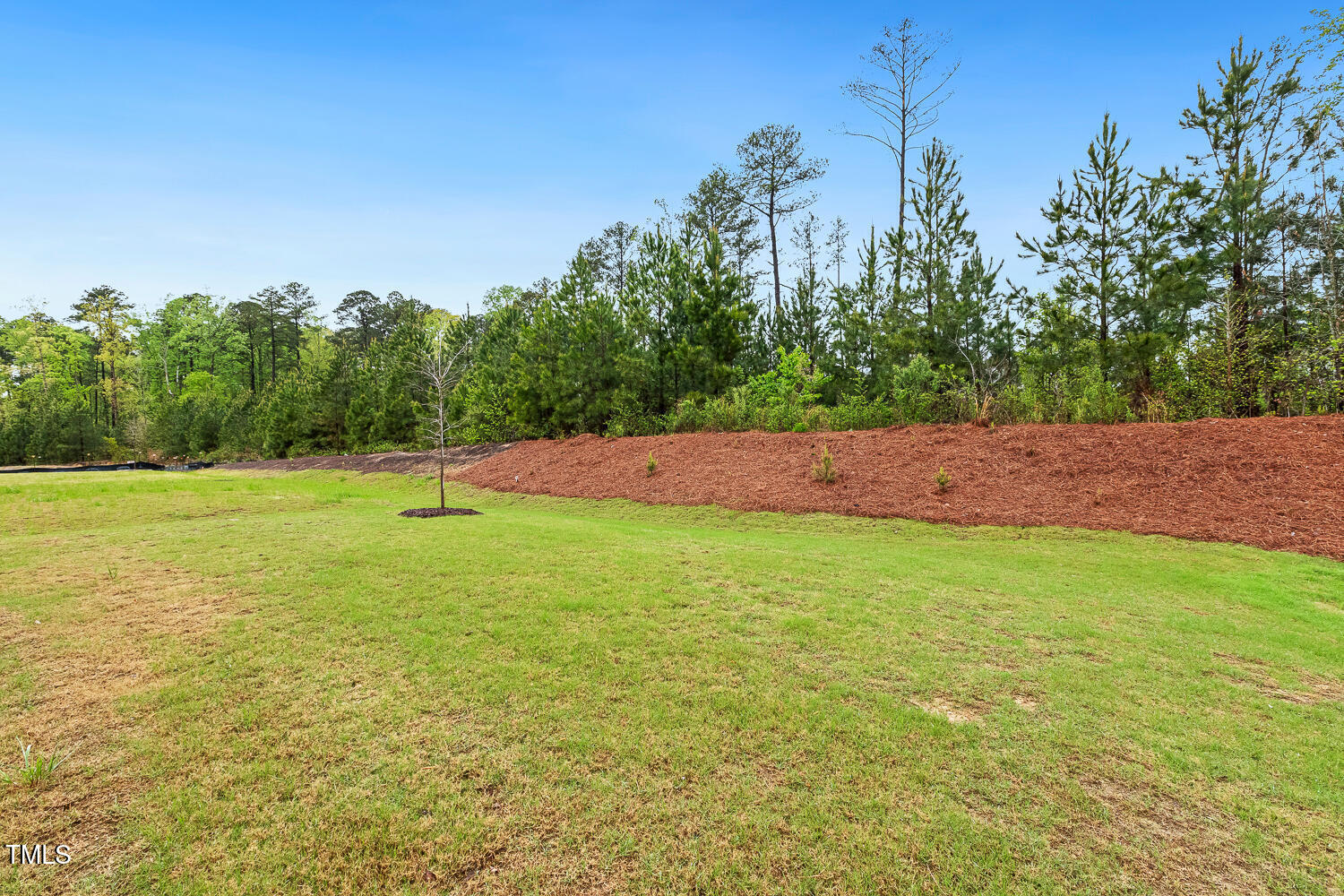 1116 Ciandra Barn Way Apex, NC 27523 - Photo 50 of 59 a view of outdoor space with deck and yard
