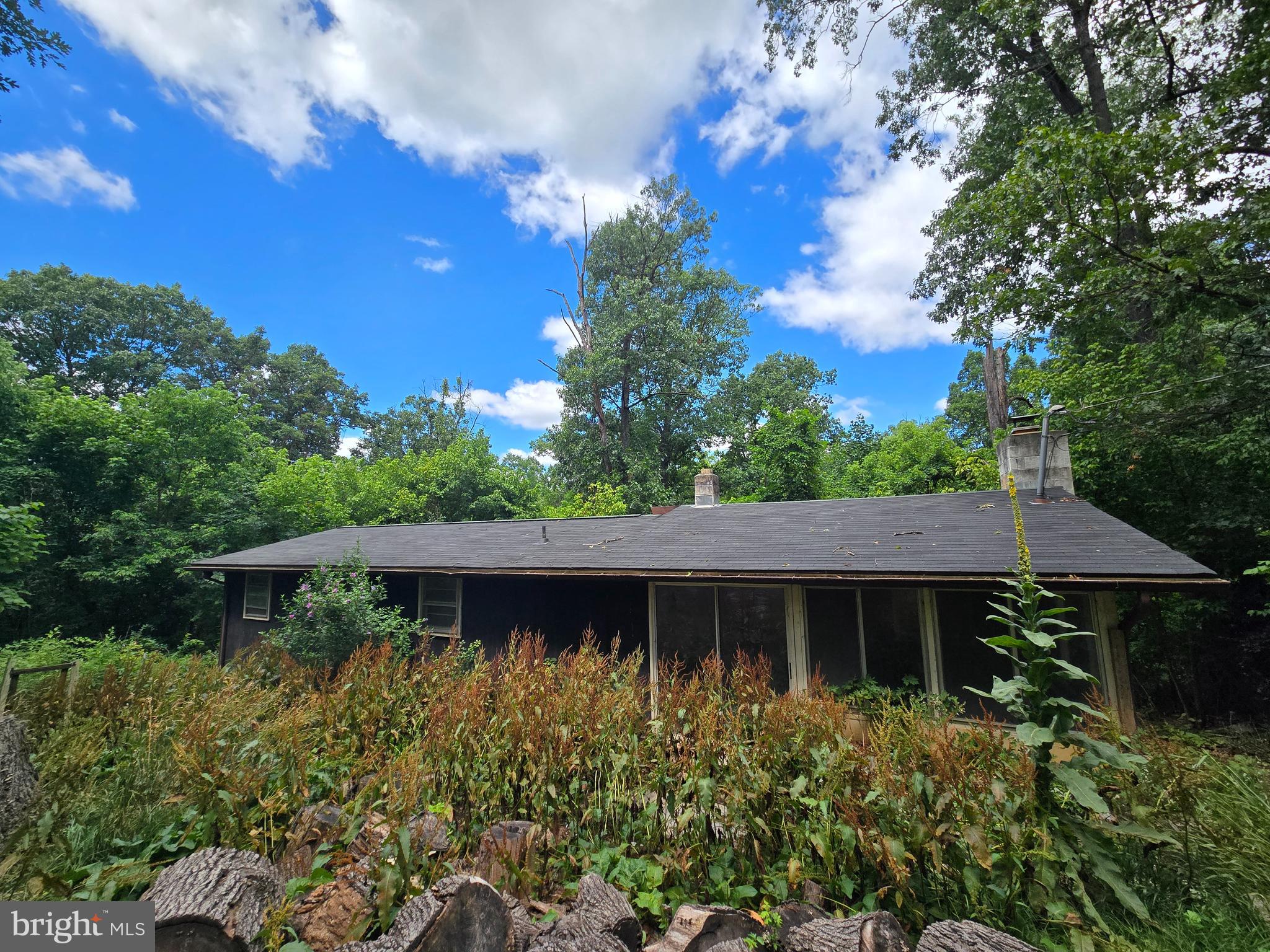 48 Pineview Drive Front Royal, VA 22630 - Photo 4 of 18