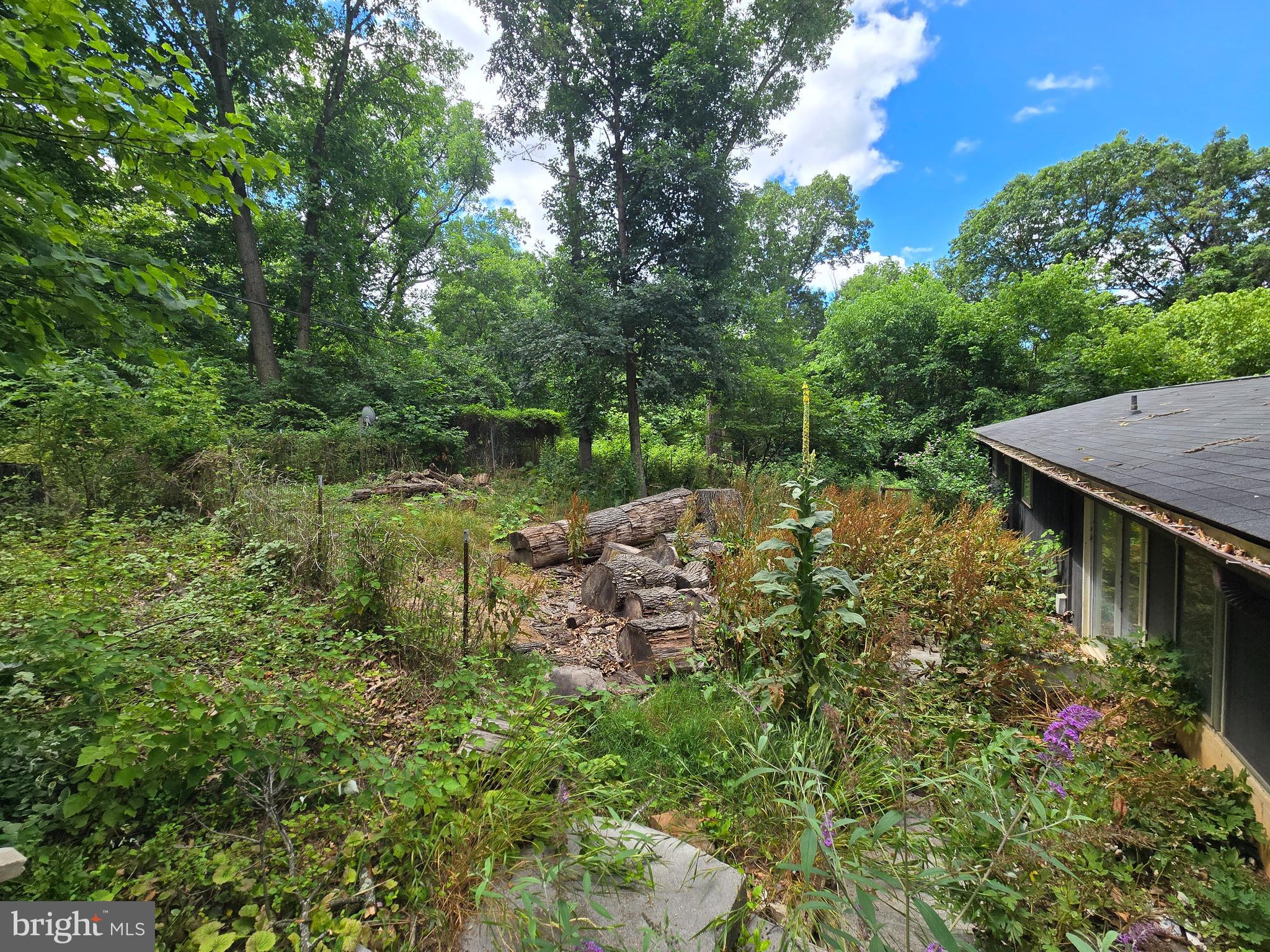 48 Pineview Drive Front Royal, VA 22630 - Photo 6 of 18