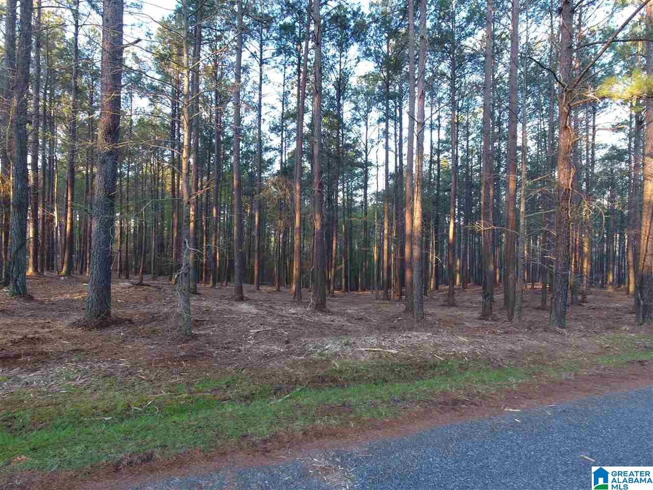 Creek Run Road Wedowee, AL 36278 - Photo 2 of 6