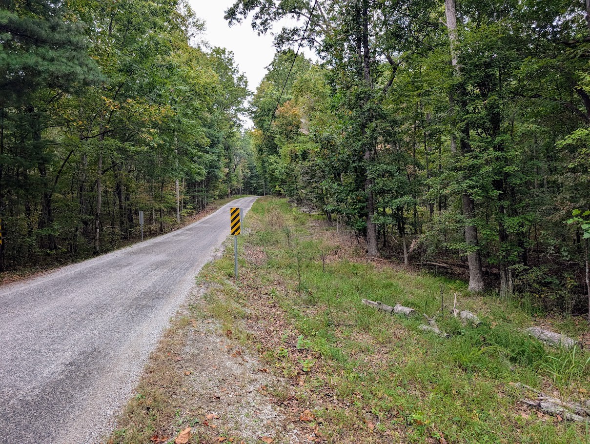 0 Deer Run Road Altamont, TN 37301 - Photo 2 of 13 a view of a yard with large trees