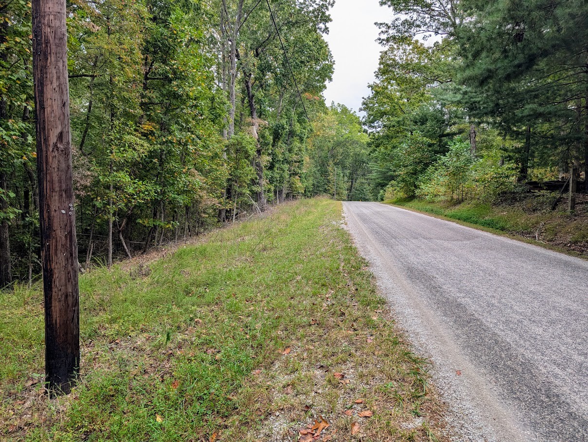 0 Deer Run Road Altamont, TN 37301 - Photo 3 of 13 a view of a yard with plants and a bench