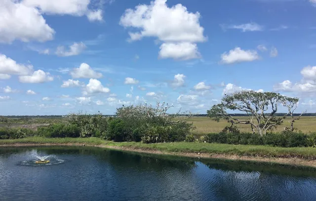 a view of a lake with a city