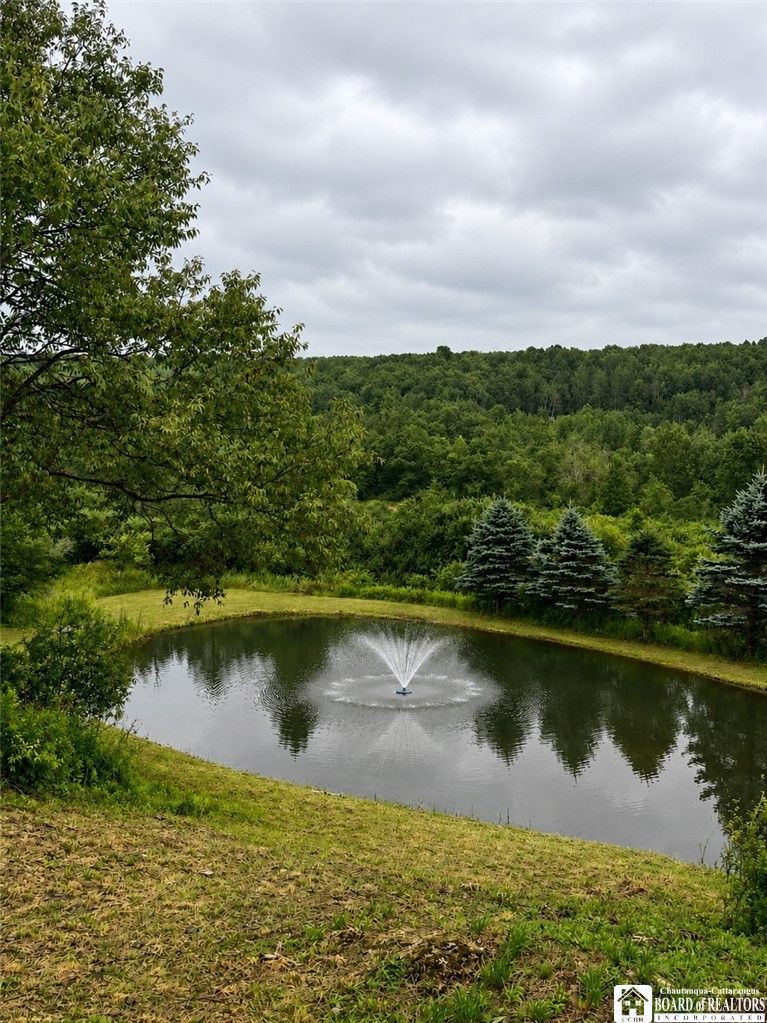 1868 Hess Road Andover, NY 14806 - Photo 5 of 46