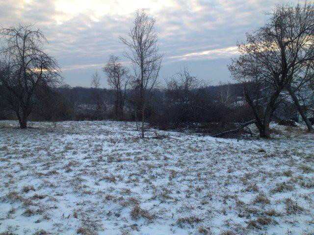 0 County Line Road, Unit LOT 7 Rushville, OH 43150 - Photo 6 of 6 Gallery Image 6