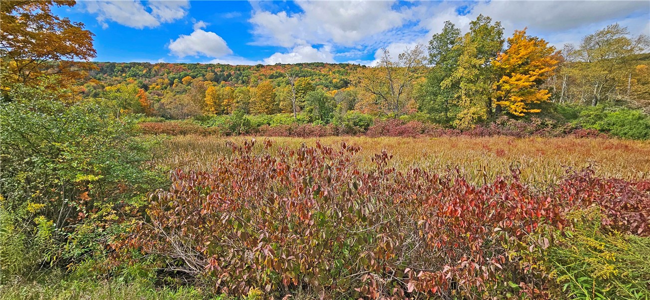 41 County Route Pulaski, NY 13142 - Photo 12 of 15 Potential pond site