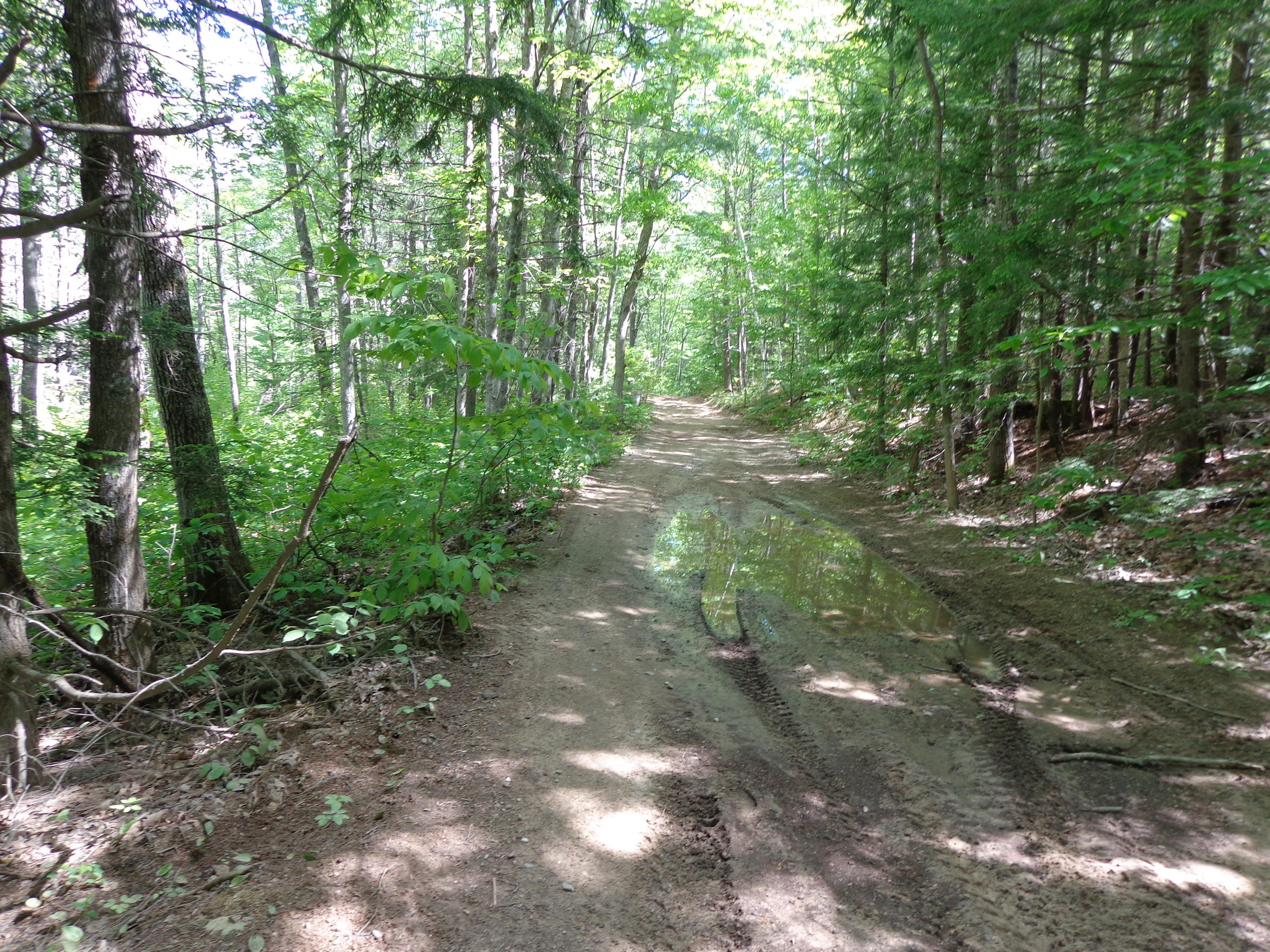 0 Owl's Nest Road Shapleigh, ME 04076 - Photo 2 of 5 DSC03599