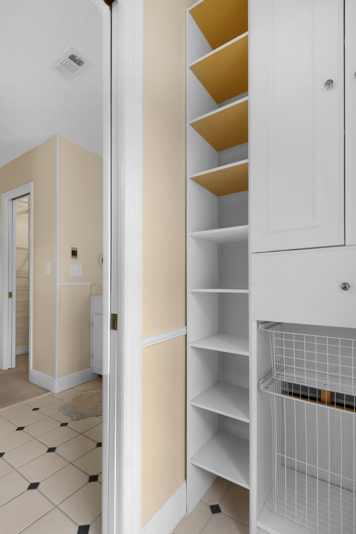 44 Dolphin Place Freeport, FL 32439 - Photo 56 of 76 a view of walk in closet with empty racks