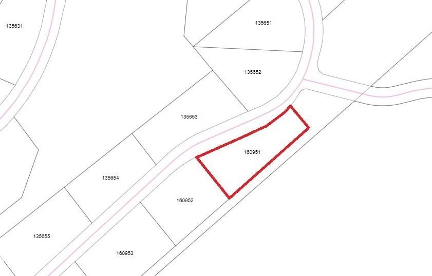 510 River Ranch Circle Martindale, TX 78655 - Photo 3 of 20