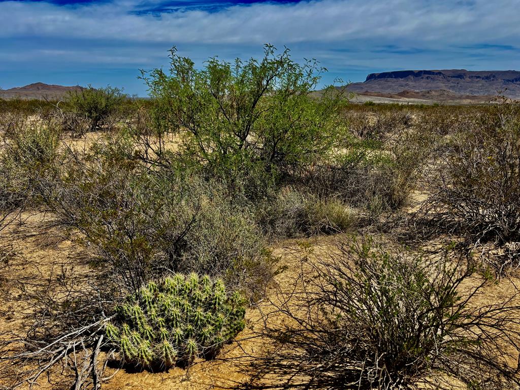 261 Romero Road Alpine, TX 79830 - Photo 7 of 26 Gallery Image 7