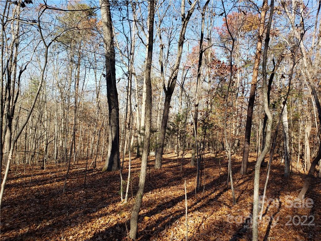0 Sugar Hollow Road, Unit 1 PROPOSED Clover, SC 29710 - Photo 11 of 27 a view of outdoor space