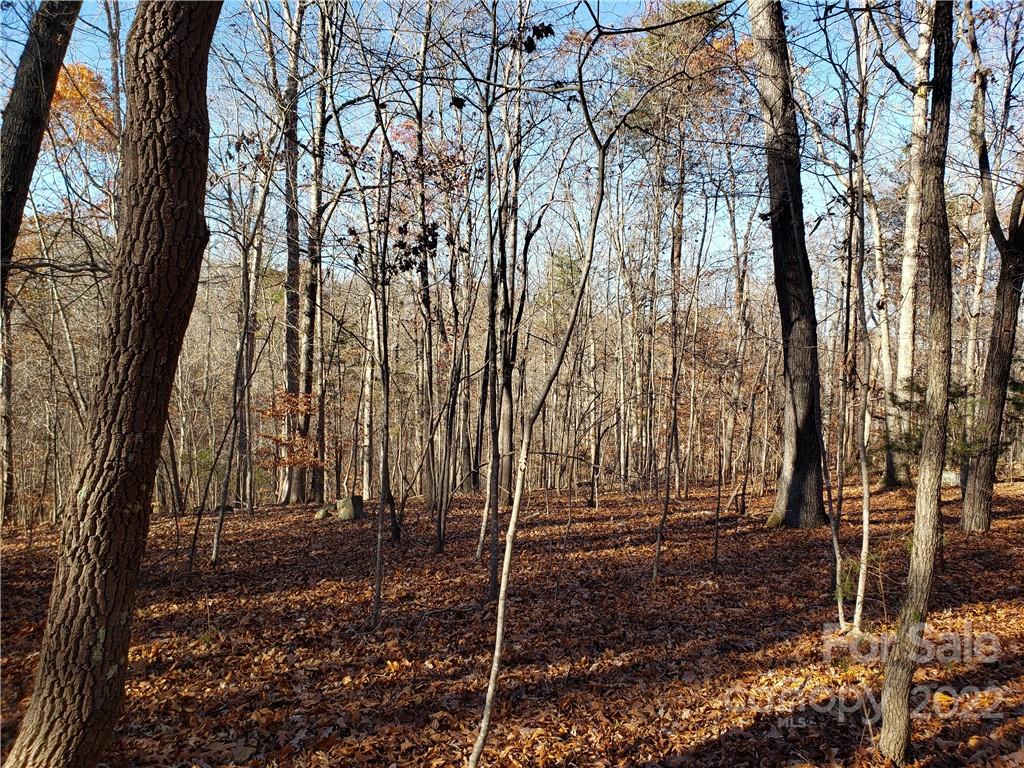 0 Sugar Hollow Road, Unit 1 PROPOSED Clover, SC 29710 - Photo 12 of 27 a backyard of a house with lots of green space