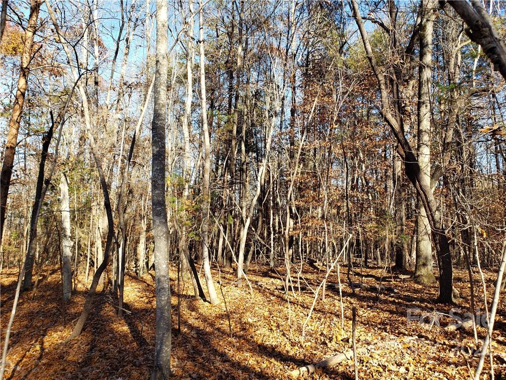 0 Sugar Hollow Road, Unit 1 PROPOSED Clover, SC 29710 - Photo 13 of 27 a view of yard