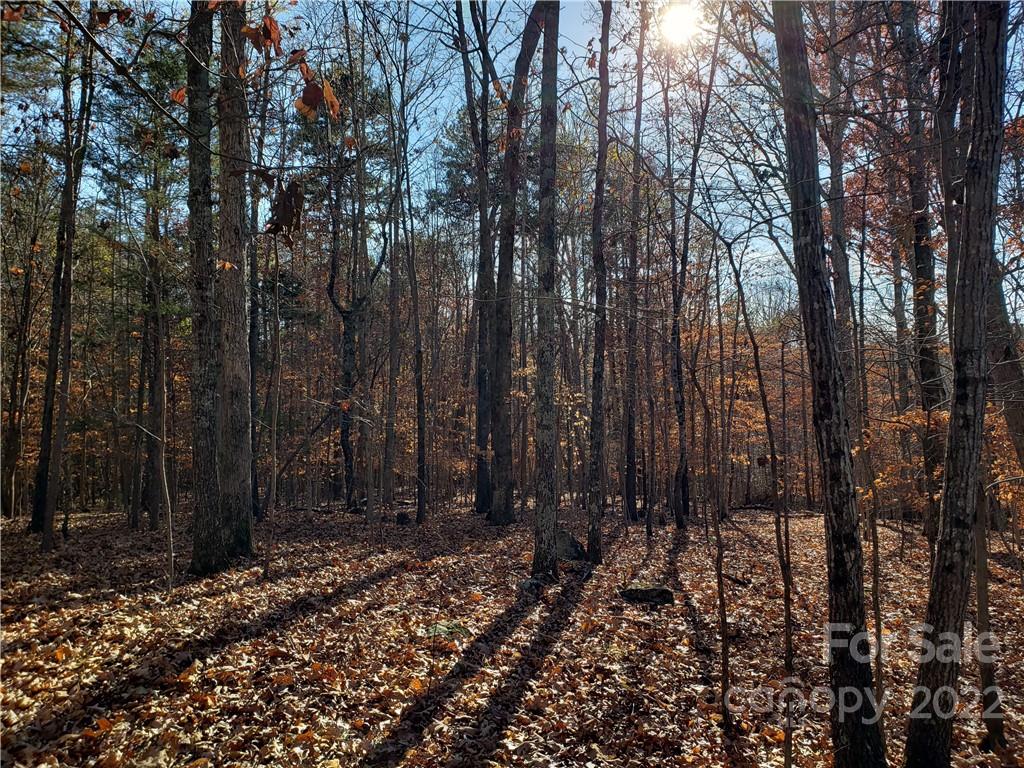 0 Sugar Hollow Road, Unit 1 PROPOSED Clover, SC 29710 - Photo 15 of 27 a view of outdoor space with trees