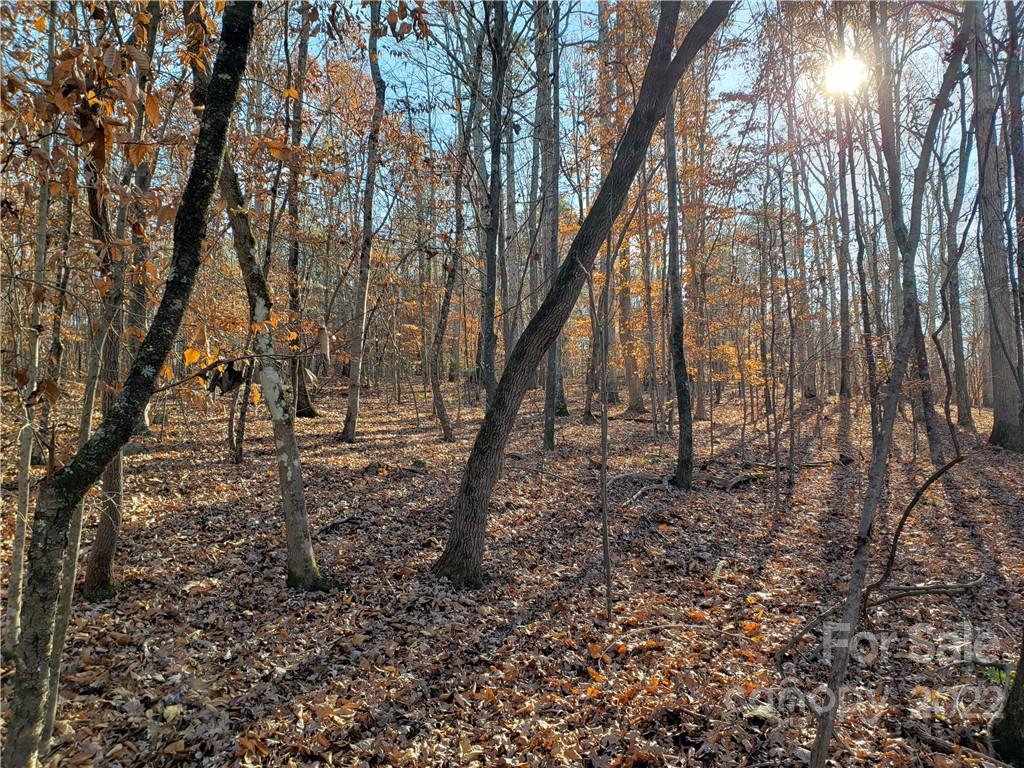 0 Sugar Hollow Road, Unit 1 PROPOSED Clover, SC 29710 - Photo 16 of 27 a view of yard