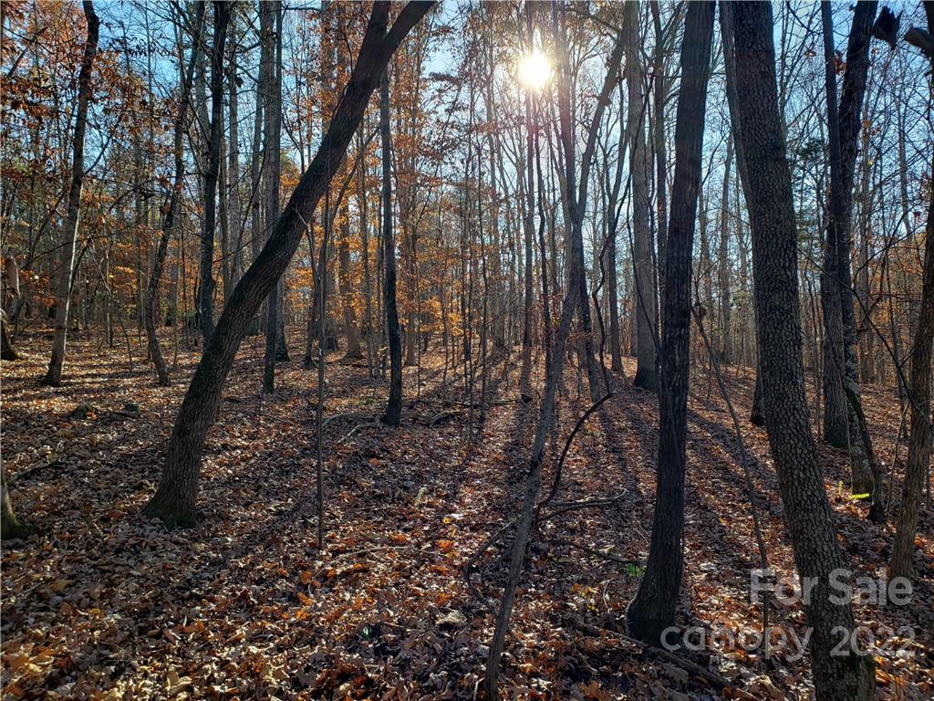 0 Sugar Hollow Road, Unit 1 PROPOSED Clover, SC 29710 - Photo 17 of 27 a backyard of a house with lots of green space