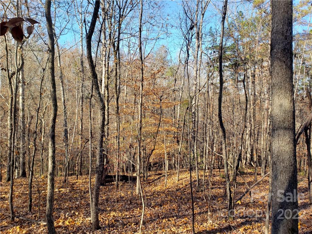 0 Sugar Hollow Road, Unit 1 PROPOSED Clover, SC 29710 - Photo 18 of 27 a view of outdoor space and a yard