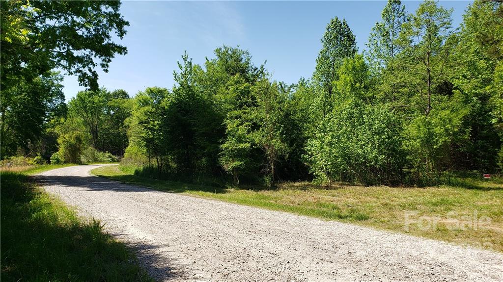 0 Sugar Hollow Road, Unit 1 PROPOSED Clover, SC 29710 - Photo 19 of 27 a view of a yard with plants