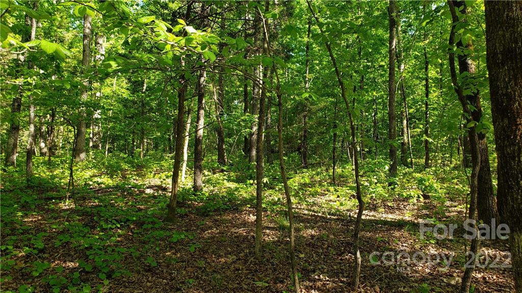 0 Sugar Hollow Road, Unit 1 PROPOSED Clover, SC 29710 - Photo 27 of 27 a view of forest