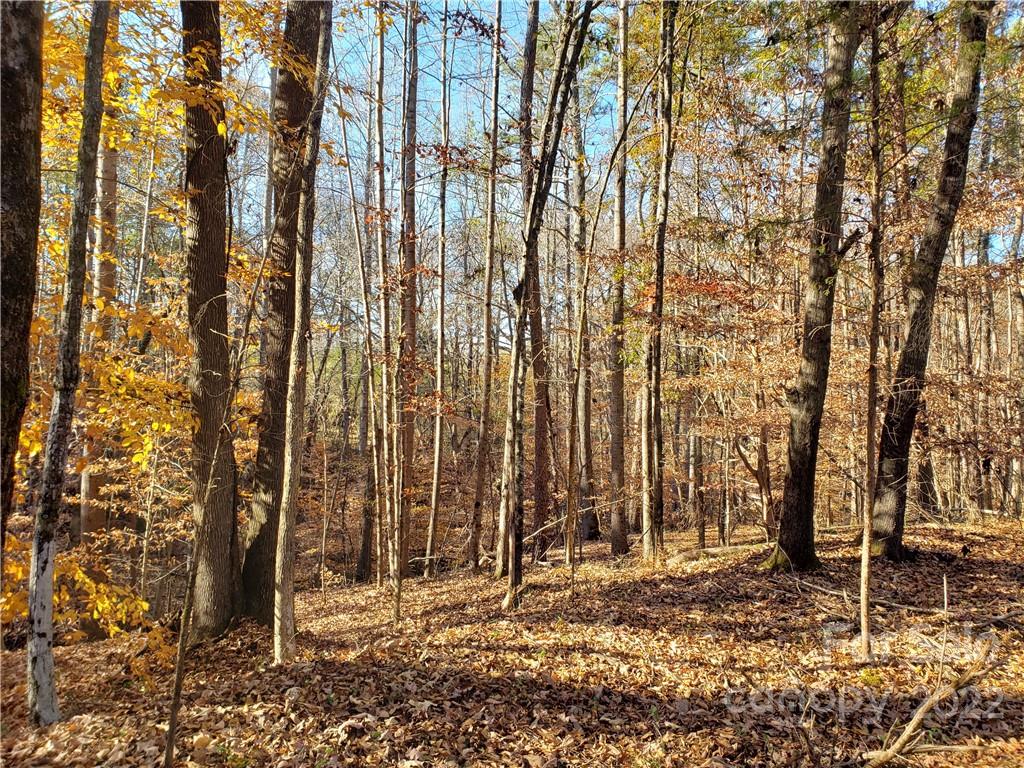 0 Sugar Hollow Road, Unit 1 PROPOSED Clover, SC 29710 - Photo 9 of 27 a backyard of a house with lots of green space