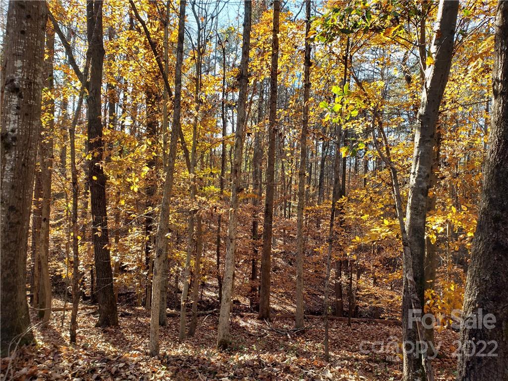 0 Sugar Hollow Road, Unit 1 PROPOSED Clover, SC 29710 - Photo 10 of 27 a view of a yard