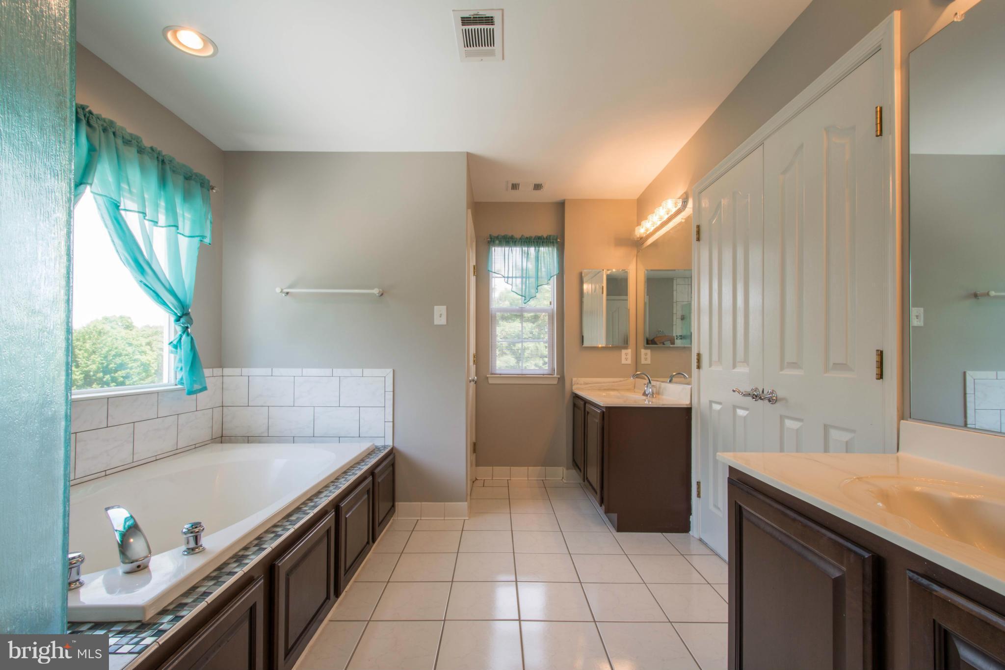 1250 Emmaus Road Woodbine, MD 21797 - Photo 17 of 30 Bath (Master)