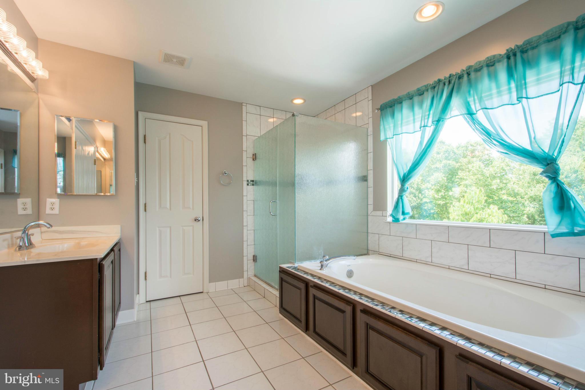 1250 Emmaus Road Woodbine, MD 21797 - Photo 18 of 30 Bath (Master)