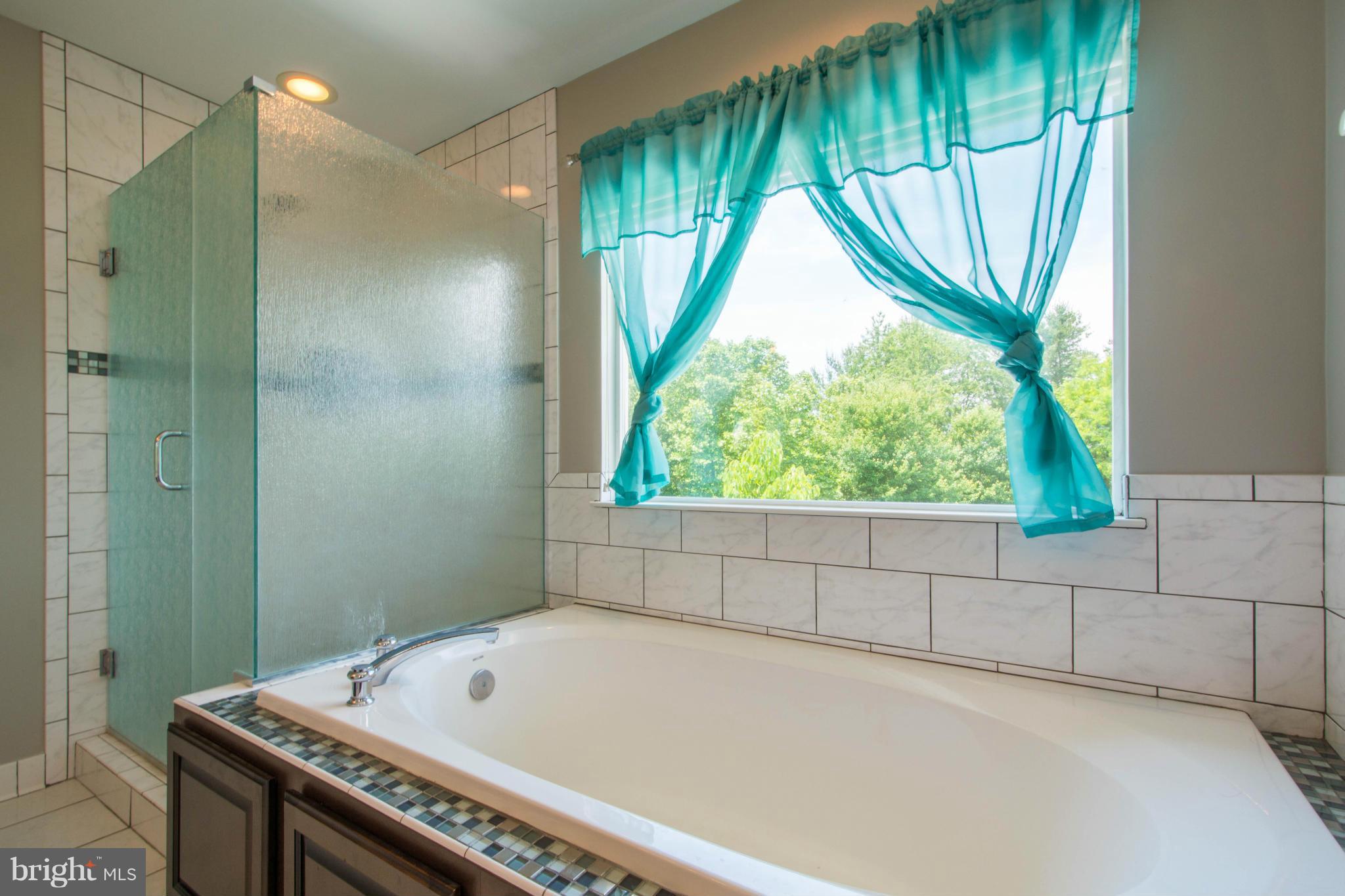 1250 Emmaus Road Woodbine, MD 21797 - Photo 19 of 30 Bath (Master)