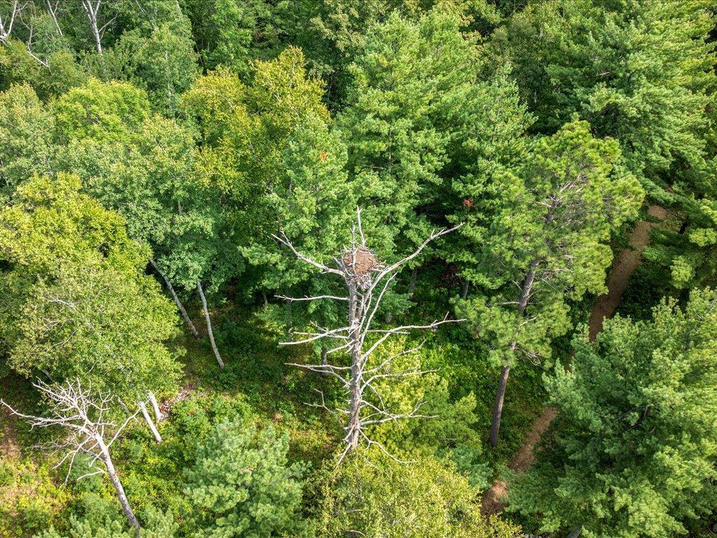 9800 Trails End Road Pequot Lakes, MN 56472 - Photo 7 of 75 Gallery Image 7