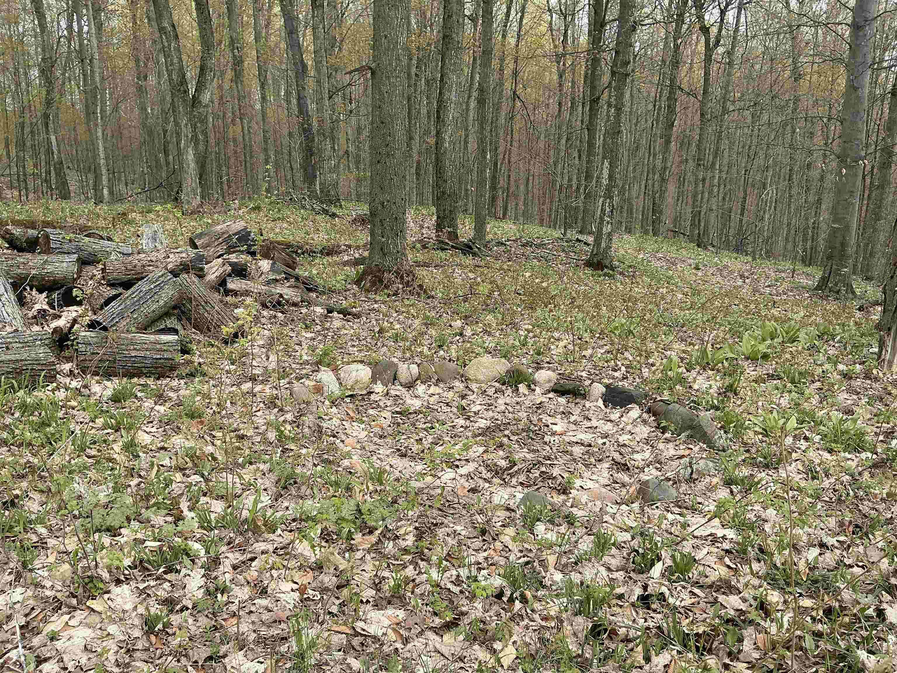 20-acres Zimmerman Road Northwest Alden, MI 49612 - Photo 11 of 11