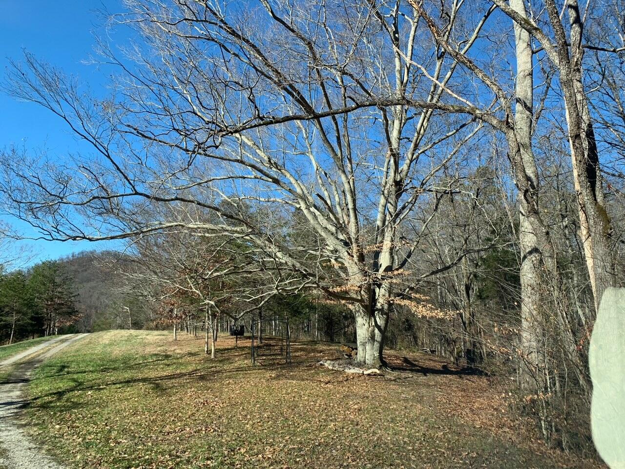 2051 Little Rock Road Irvine, KY 40336 - Photo 13 of 21 IMG_5771
