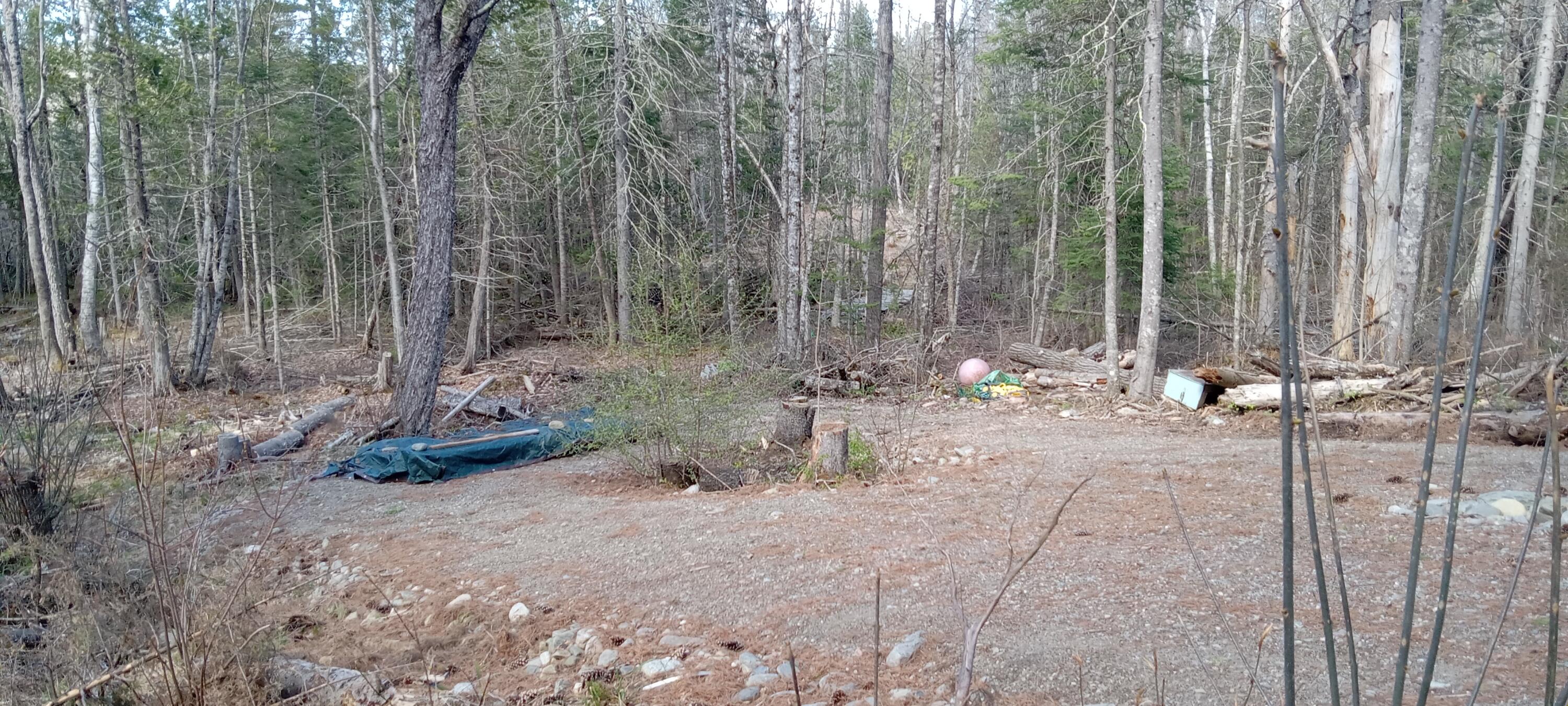 132 Village Road Jackson, ME 04921 - Photo 34 of 43 20240507_153439