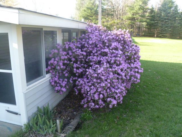 731 South Nevins Road Stanton, MI 48888 - Photo 3 of 18 Additional Photo